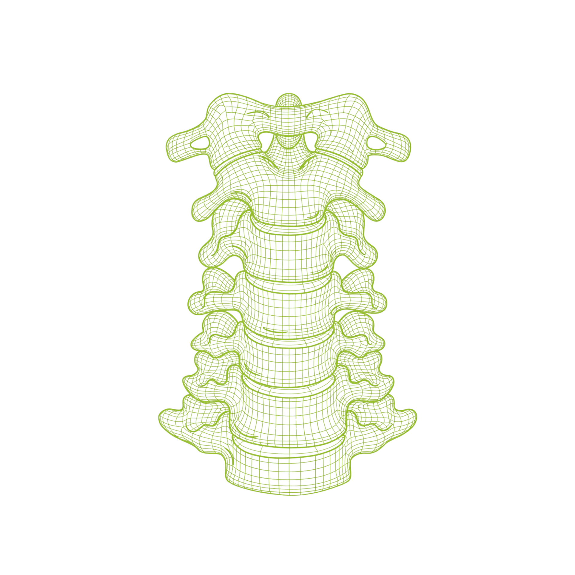 Understanding Your Bones